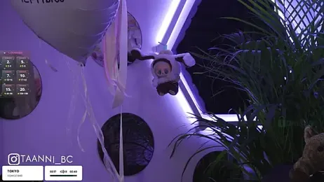 taanni_bc stripchat stream image