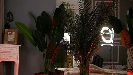 KellyMathews stripchat stream image