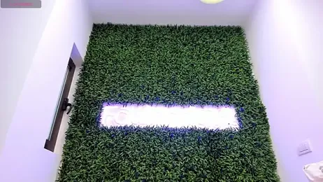 realhotfallingdevil stripchat stream image