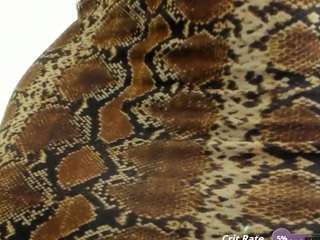 alishagoddes camsoda stream image