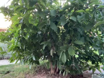 patry333 chaturbate stream image