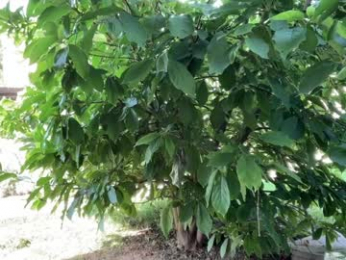 patry333 chaturbate stream image