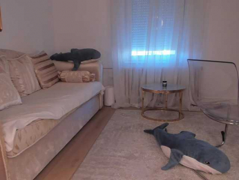 seilyfox bongacams stream image