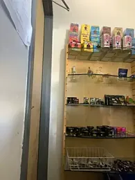 jr91esl stripchat stream image