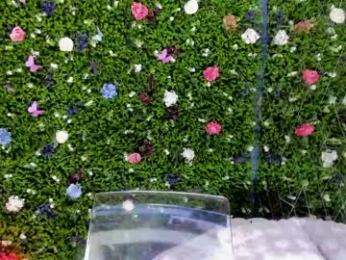 babyaylin chaturbate stream image