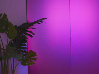 NatyDesiree bongacams stream image