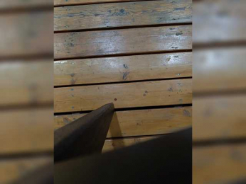 Angelia22 bongacams stream image