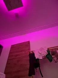 Just_Sophia_ stripchat stream image