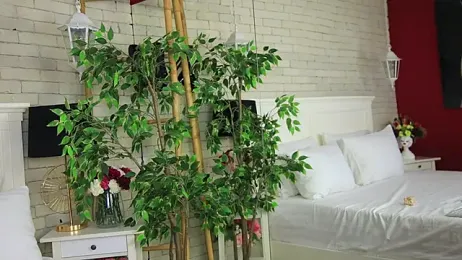 EmillyBronte stripchat stream image