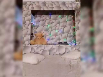 LizSage bongacams stream image