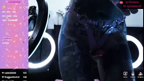 TyphoidMary stripchat stream image