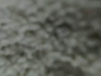 lady____a chaturbate stream image