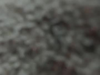 lady____a chaturbate stream image