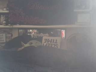 lushdiamondz camsoda stream image