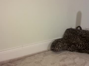 graceyrose chaturbate stream image