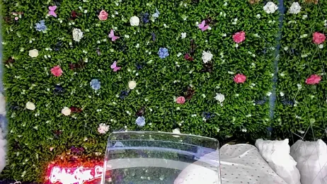 BabyAylin stripchat stream image