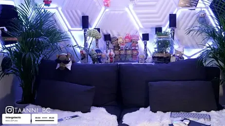 taanni_bc stripchat stream image