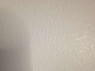 t1ger camsoda stream image