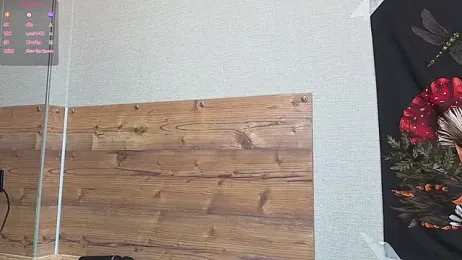 DaisyElmers stripchat stream image