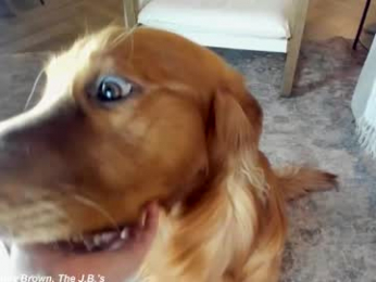 x_lily_x chaturbate stream image