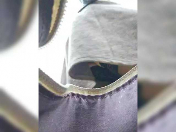 EditaMilf bongacams stream image