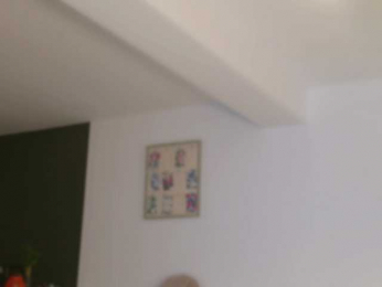 EmilyxJames bongacams stream image