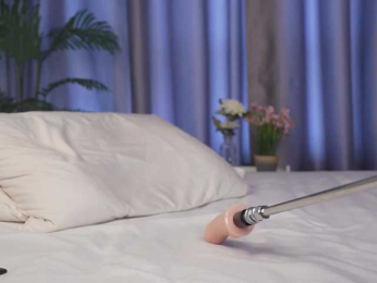 Karollovea bongacams stream image