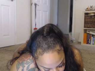 elegance camsoda stream image