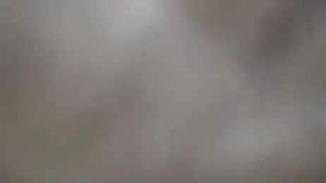 DAELAA stripchat stream image