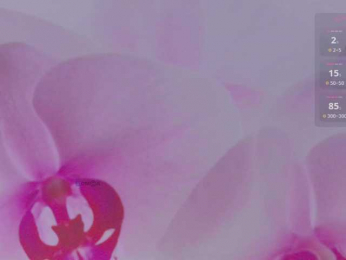 _AfterDark_ bongacams stream image