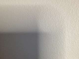 t1ger camsoda stream image