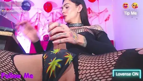 dannabigdirty1 stripchat stream image