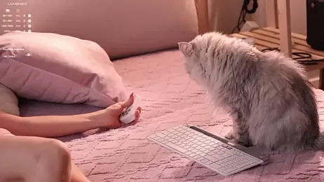 Pretty_Princess_Elina stripchat stream image