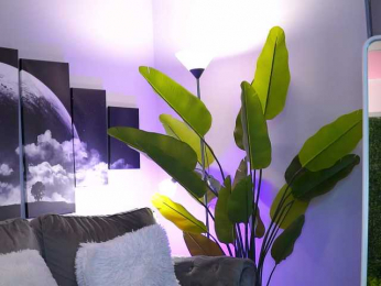 RaquelleVon bongacams stream image