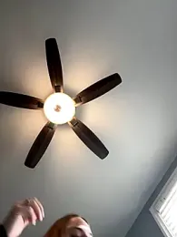 jaseyrae stripchat stream image