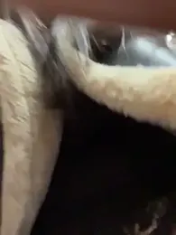 Chloe__Moon stripchat stream image