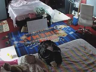 voyeurcam-baileybase-room camsoda stream image