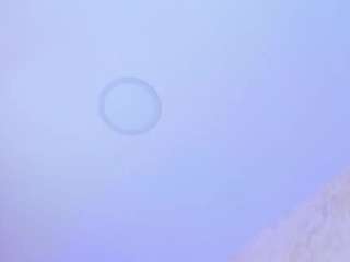 susan-jane camsoda stream image