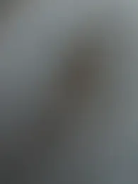 SSSATIVA_model stripchat stream image