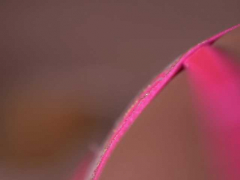 BlairSander bongacams stream image