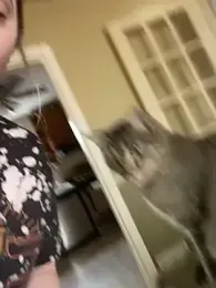 jaseyrae stripchat stream image