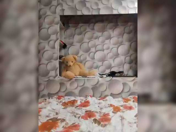 LizSage bongacams stream image