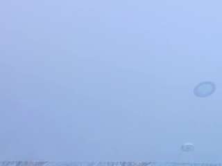 susan-jane camsoda stream image