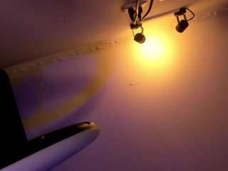 apotheosiss camsoda stream image