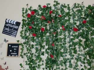 butterflybooty camsoda stream image