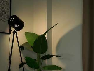 quennagales camsoda stream image