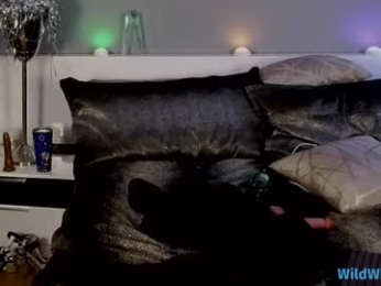 wildwifebarbie chaturbate stream image