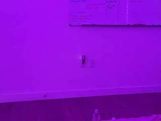 melztube camsoda stream image