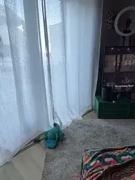 Stella-Kink stripchat stream image