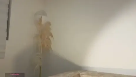 Addison_baker stripchat stream image